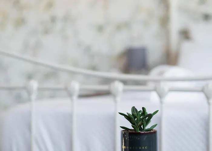 Viana Rooftop House - In The Historic Center With River View Apartament *