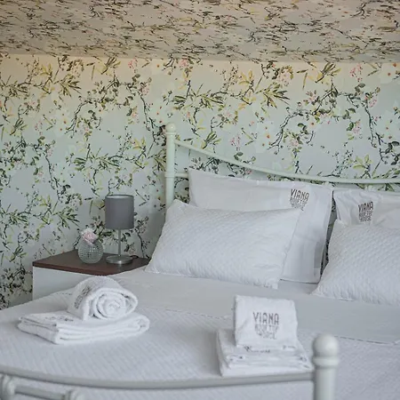 Viana Rooftop House - In The Historic Center With River View Apartamento Viana do Castelo