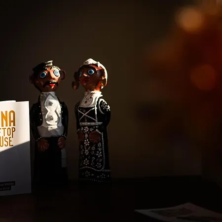 Viana Rooftop House - In The Historic Center With River View Апартаменты