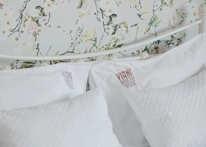 Viana Rooftop House - In The Historic Center With River View Lägenhet